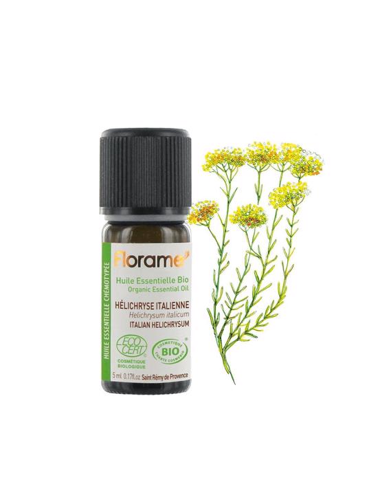 Erkek genel Ölmezçiçek - Helikrizum (Helichrysum italicum)-5 m