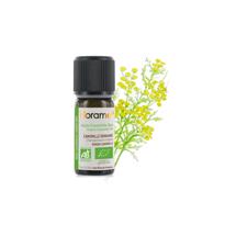 genel Mavi Papatya(Tanacetum annuum)-2 ml 