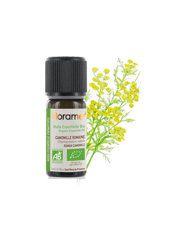 Erkek genel Mavi Papatya(Tanacetum annuum)-2 ml