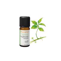  Wintergreen (Gaultheria procumbens)-10 ml 