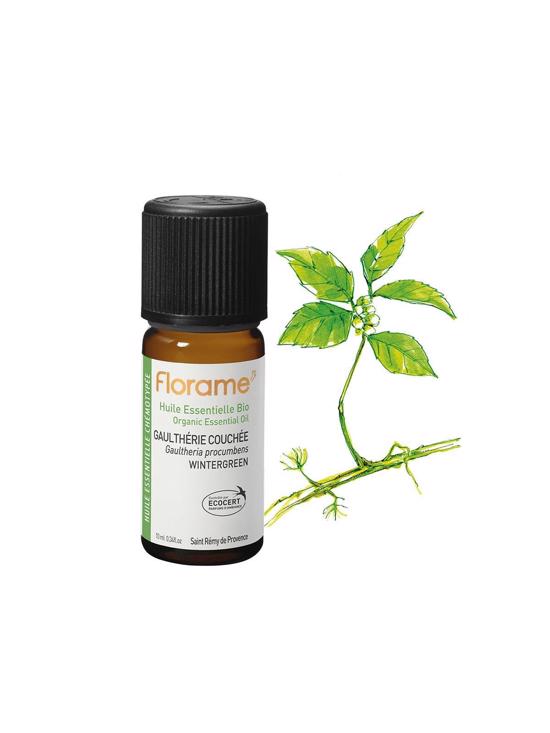 Erkek genel Wintergreen (Gaultheria procumbens)-10 ml