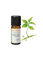 Erkek genel Wintergreen (Gaultheria procumbens)-10 ml