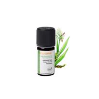 genel Zencefil (Zingiber officinalis) -5 ml 