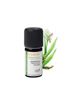 Erkek genel Zencefil (Zingiber officinalis) -5 ml