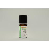 genel Zerdeçal (Curcuma longa) - 5 ml 