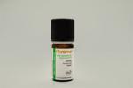 Erkek genel Zerdeçal (Curcuma longa) - 5 ml