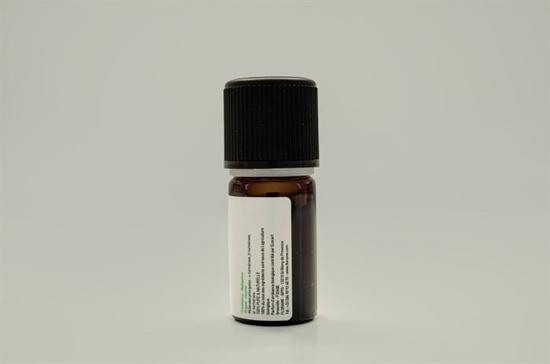 Erkek genel Zerdeçal (Curcuma longa) - 5 ml