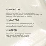 Erkek genel Purifying Seaweed Clay Mask