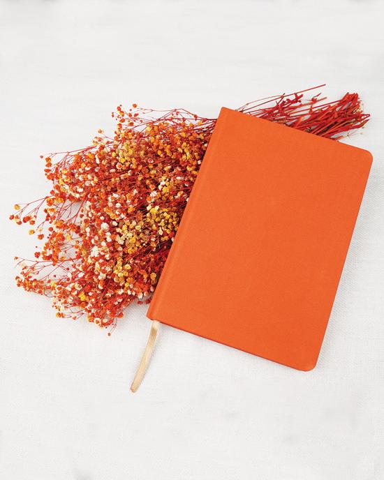 Erkek genel Coral Notebook (Turuncu)