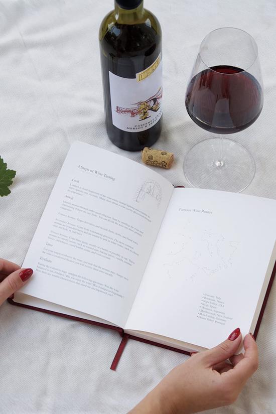 Erkek genel Vino Şarap Tadım Defteri