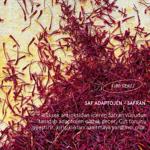 Erkek genel Saffron Brıghtenıng Eye Cream - Aydınlatıcı Göz Kr