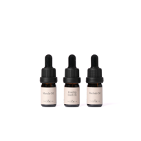  Mini Beauty Trio 