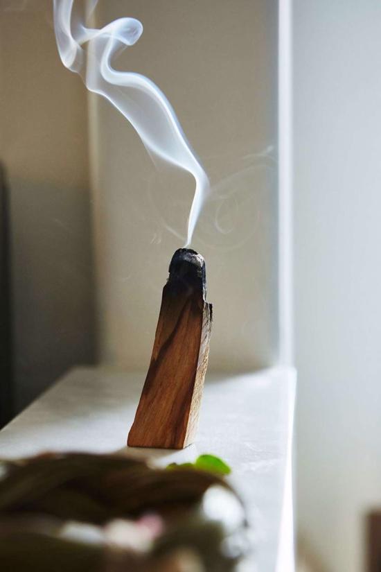 Erkek genel Palo Santo