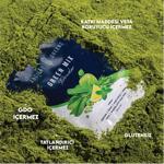 Erkek genel Green Mix