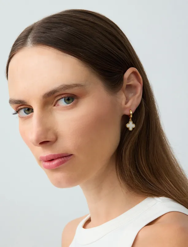 Women  Clover Figured Steel Earrings