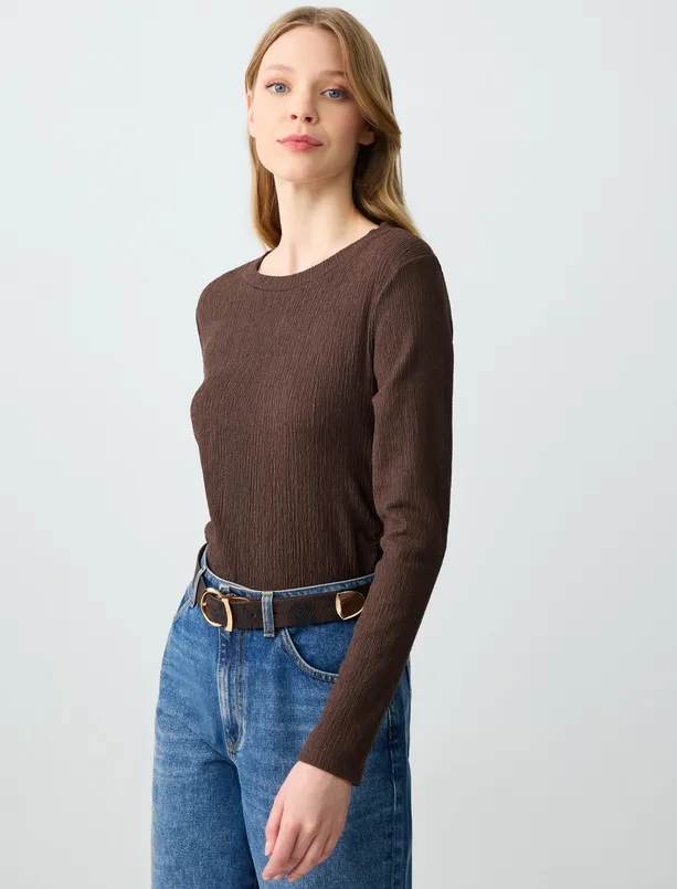 Women Brown Crew Neck Long Sleeve Straight Cut Knitted Blouse