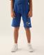 Authentic Chase Erkek Çocuk Mavi Regular Fit Şort