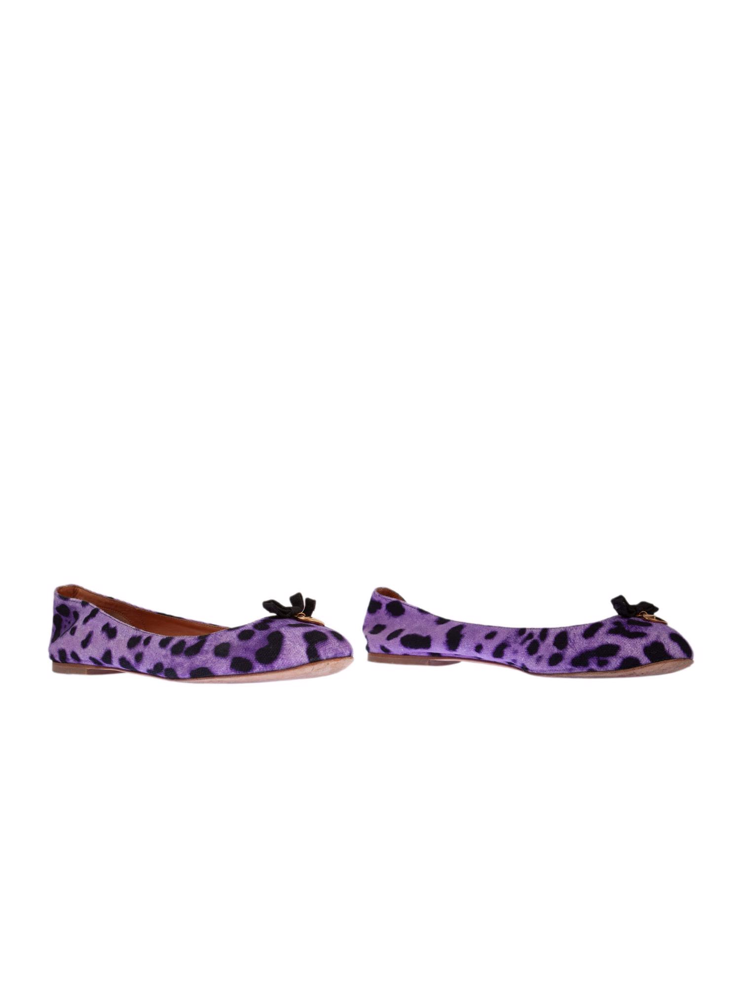 Bayan Mor DOLCE&GABBANA BABET