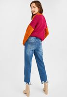 Women Blue High Rise Mom Jeans