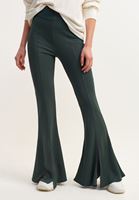 Women Green Mid-Rise Flare Leg Trousers