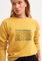 Bayan Sarı Artwork Baskılı Crop Sweatshirt