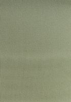 Women Green Seamless Crop Top