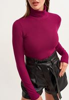 Bayan Vişne Çürüğü Roll-Neck Bluz