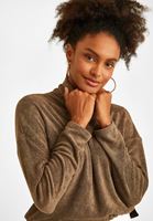 Women Brown Roll Neck Pullover