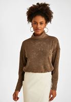 Women Brown Roll Neck Pullover