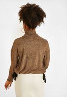 Women Brown Roll Neck Pullover