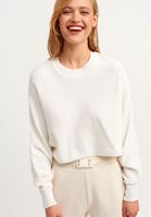 Bayan Krem Oversize Crop Triko