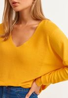Bayan Sarı Nature Friendly V-Neck Triko ( TENCEL™ )