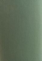 Women Green Loose Pants With Belt Detail (TENCEL™ )