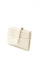 Women Beige Textured Wallet