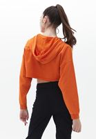 Women Orange Hooded Crop Sweatshirt