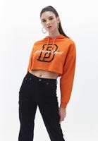 Women Orange Hooded Crop Sweatshirt