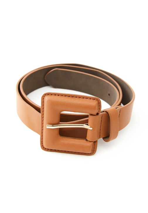 brown belt big buckle