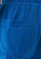 Women Blue Carrot Fit Pants with Drawstring