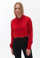 Kapüşonlu Crop Sweatshirt