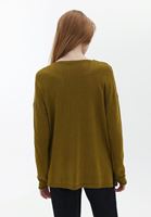 Women Green V-neck Knitwear