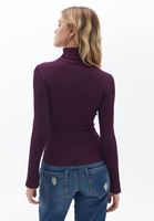 Bayan Mor Uzun Kollu Roll Neck