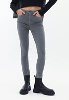 Women Grey High Rise Skinny Fit Pants