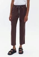 Women Bordeaux High Rise Carrot Fit Pants