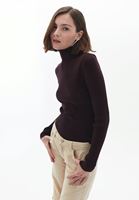 Women Brown Turtleneck Knitwear Sweater