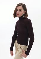 Women Brown Turtleneck Knitwear Sweater