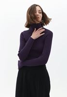 Women Purple Turtleneck Knitwear Sweater