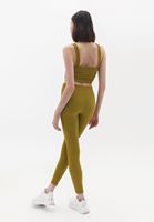 Women Green High Rise Seamless Leggings