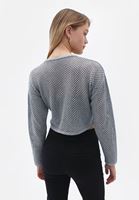 Women Silver Crew Neck Crop Sweater with Hemstitch