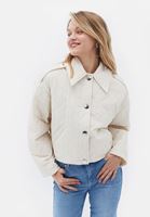 Women Cream Padded Crop Jacket