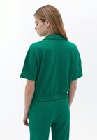 Women Green Polo Neck Crop Tshirt